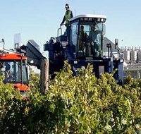 Ballast Stone Estate Wines Pty Ltd - eTourism Australia