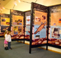 Platypus Experience - eTourism Australia