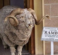 Tasmanian Wool Centre - eTourism Australia