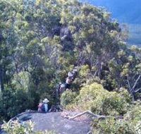 Mia Mia State Forest - eTourism Australia