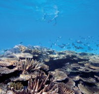 Australian Institute of Marine Science - eTourism Australia