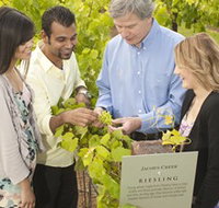Jacob's Creek Vineyard Tour - eTourism Australia
