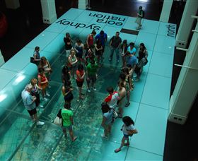 I'm Free Tours - eTourism Australia 1