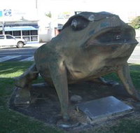 Big Cane Toad - eTourism Australia