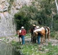 Yarramba Horse Riding