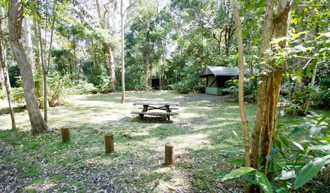 Toonumbar National Park - eTourism Australia 3