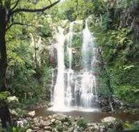 Budderoo National Park - The Falls Walk - eTourism Australia