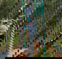 Busselton High Ropes and Zipline Adventure