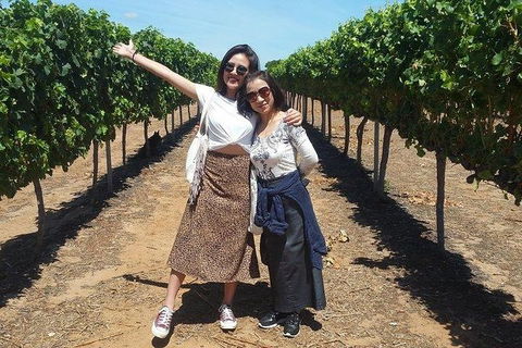 VIP Swan Valley Wine Tour - Premium Small Group Wine & Gourmet Experience - eTourism Australia 3