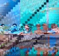 Reef HQ Great Barrier Reef Aquarium General Entry Ticket - eTourism Australia