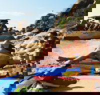 Orpheus Island Day Trip by Helicopter from Townsville - eTourism Australia