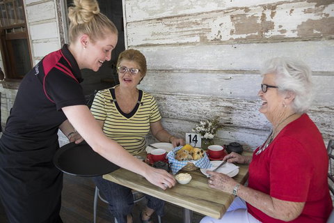 River To Mountain Townsville Tour With Optional City Sightseeing Upgrade - eTourism Australia 1