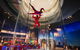 IFLY Brisbane - Indoor Skydiving Kickstart 2 Flights - thumb 6