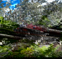 Puffing Billy Railway - eTourism Australia