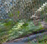 Anabranch Loop Track