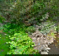 Brindle Creek Picnic Area - eTourism Australia