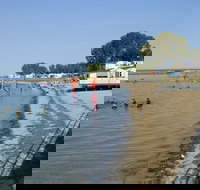 Port Vincent - eTourism Australia