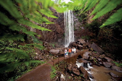 Queen Mary Falls Circuit, Main Range National Park - eTourism Australia 0