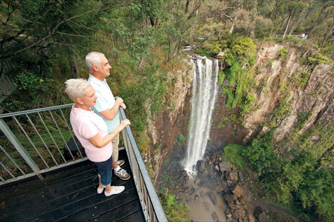 Queen Mary Falls Circuit, Main Range National Park - eTourism Australia 1