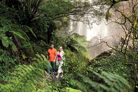 Queen Mary Falls Circuit, Main Range National Park - eTourism Australia 2