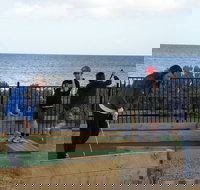 Port Vincent Putt Putt - eTourism Australia