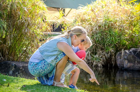 Queens Park Waterfall - eTourism Australia 2