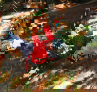 Trees Adventure - Glen Harrow Park - eTourism Australia