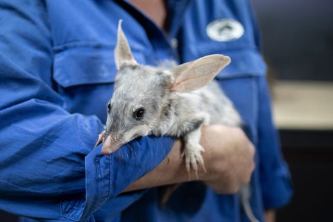 9 Day Outback Adventure - eTourism Australia 0