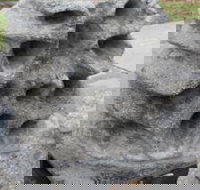 Windara Reef - eTourism Australia