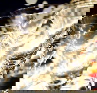 Rushworth - eTourism Australia