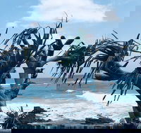 Hastings Point Beach