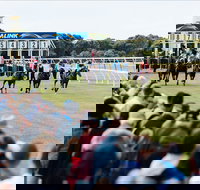 Oakbank - eTourism Australia