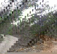 Paddys Ranges State Park