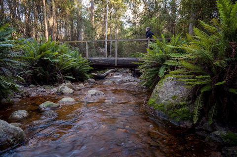 O'Neills Creek Picnic Reserve - eTourism Australia 0