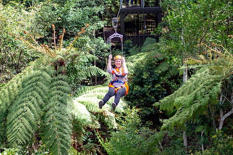 Illawarra Fly Treetop Adventures Treetop Walk Admission Ticket - eTourism Australia 2