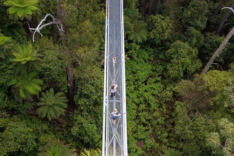Illawarra Fly Treetop Adventures Treetop Walk Admission Ticket - eTourism Australia 4