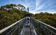 Illawarra Fly Treetop Adventures Treetop Walk Admission Ticket - thumb 0