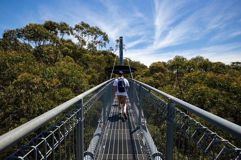 Illawarra Fly Treetop Adventures Treetop Walk Admission Ticket - eTourism Australia 0