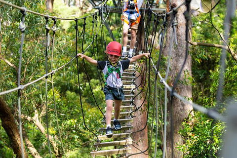 Illawarra Fly Treetop Adventures Treetop Walk Admission Ticket - eTourism Australia 3