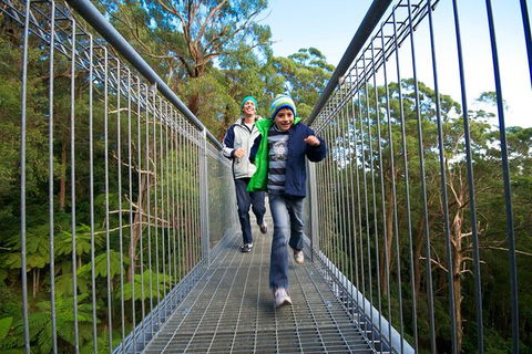 Illawarra Fly Treetop Adventures Treetop Walk Admission Ticket - eTourism Australia 7