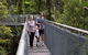 Illawarra Fly Treetop Adventures Treetop Walk Admission Ticket - thumb 1