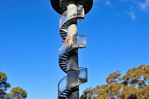 Illawarra Fly Treetop Adventures Treetop Walk Admission Ticket - eTourism Australia 5