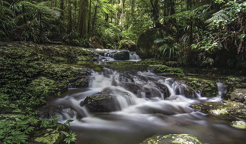 Protesters Falls Walking Track - eTourism Australia 0