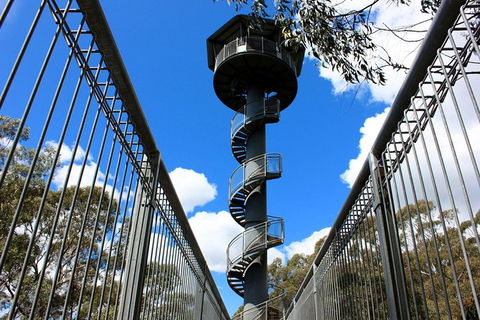 Illawarra Fly Treetop Adventures Admission Including Zipline Tour - eTourism Australia 3