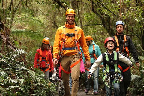 Illawarra Fly Treetop Adventures Admission Including Zipline Tour - eTourism Australia 1