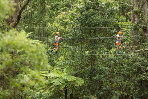 Illawarra Fly Treetop Adventures Admission Including Zipline Tour - eTourism Australia 0
