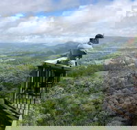 Scenic Food  Wine Tour Inc. Lunch Cheese Wine  Chocolate