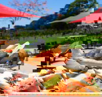 Sunshine Coast Private Gourmet Food and Wine Tour