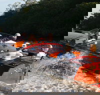 Noosa River Cruise for 3 to 4 people on a Classic Mahogany Speed Boat - 90 min.