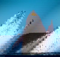 Whale Watching Cruise from Mooloolaba